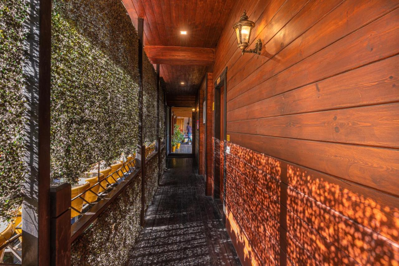 The Hosteller Kasar Devi Алмора Экстерьер фото