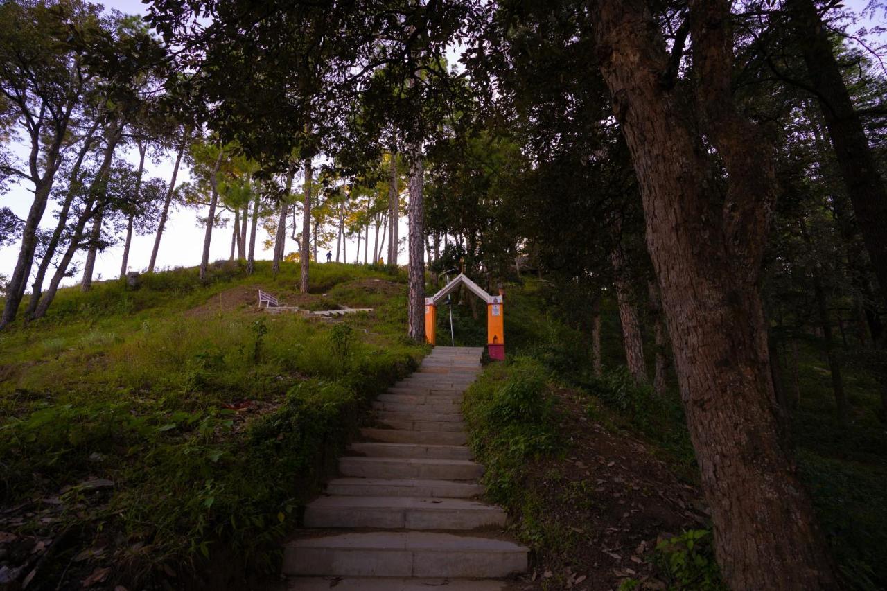 The Hosteller Kasar Devi Алмора Экстерьер фото